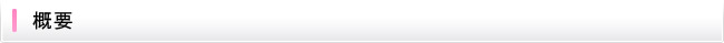 概要