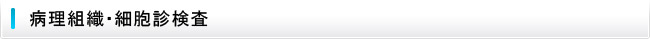 病理組織・細胞診検査