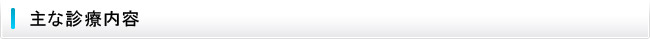 主な診療内容