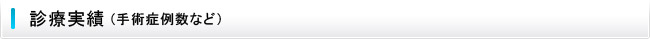 診療実績(手術症例数など)