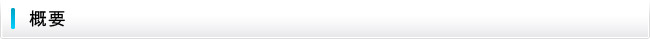 概要