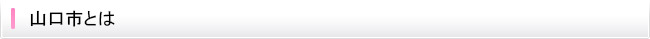 山口市とは