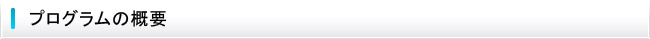 プログラムの概要